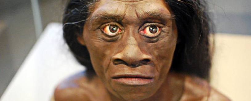 Mujer de Homo floresiensis.